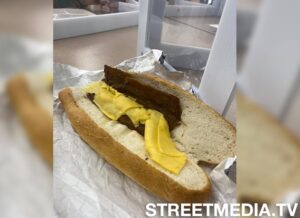 Parents and Teachers are outrage after being served nasty food for school lunch, this is supposed to be a chicken cheesesteak sandwich