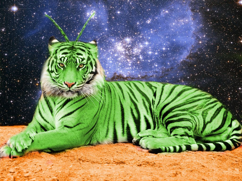 ALIEN TIGER MASTER